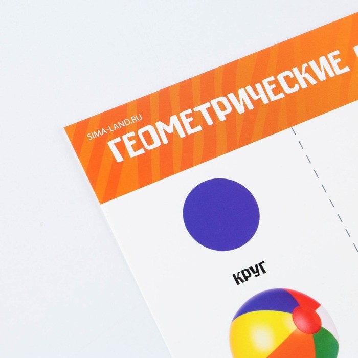 Набор обучающих плакатов «Изучаем мир», 10 в 1, А4 Набор обучающих плакатов «Изучаем мир», 10 в 1, А4