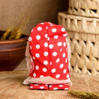 Оберег &laquo;Домовой с ложкой&raquo;, 12 см, микс