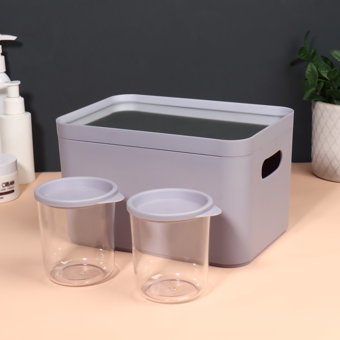 Набор органайзеров для хранения косметических принадлежностей &laquo;Eva&raquo;, 22,8 &times; 15,9 &times; 13,8 см, с зеркалом, цвет сиреневый