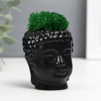 Кашпо бетонное "Будда" со мхом 7*6 см черный (мох зеленый стабилизированный) Кашпо бетонное "Будда" со мхом 7*6 см черный (мох зеленый стабилизированный)