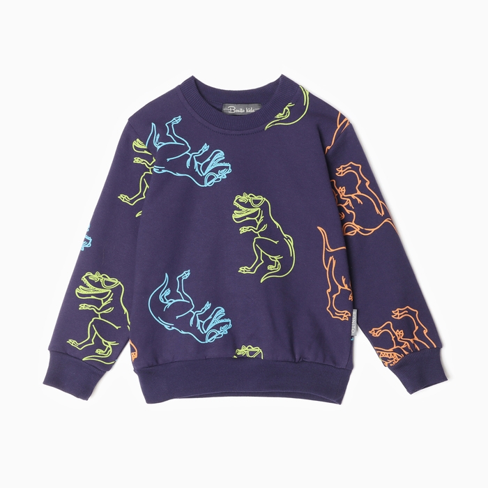 Свитшот для мальчика, цвет тёмно-синий/дино, рост 110 см