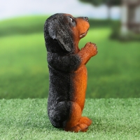 Садовая фигура "Попрошайка такса" 8х7х19см Садовая фигура "Попрошайка такса" 8х7х19см