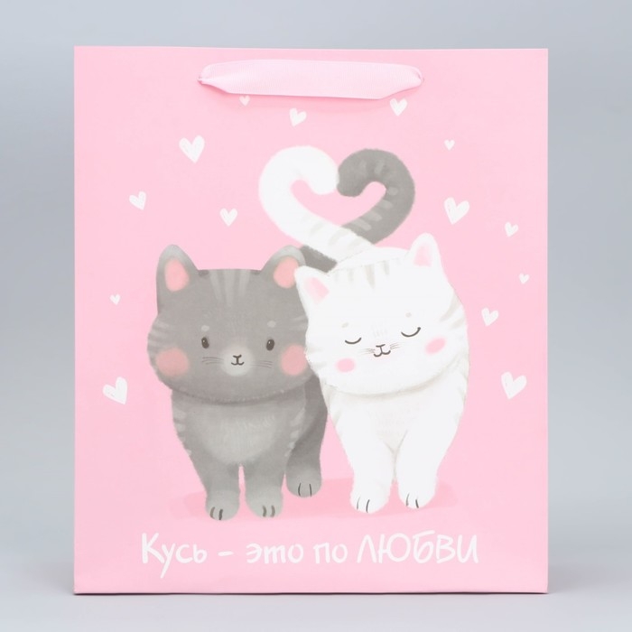 Пакет подарочный ламинированный вертикальный, упаковка, &laquo;Любви и тепла&raquo;, M 26 х 30 х 9 см