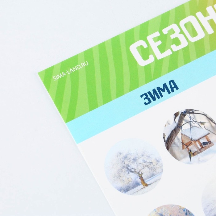 Набор обучающих плакатов «Изучаем мир», 10 в 1, А4 Набор обучающих плакатов «Изучаем мир», 10 в 1, А4