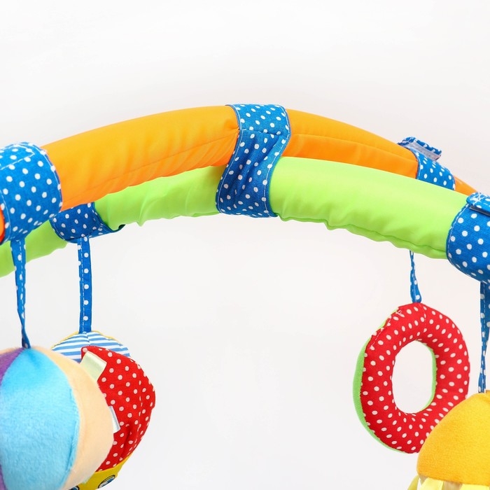 Развивающий коврик с дугами &laquo;Веселый парк&raquo;, 97&times;86 см, виды МИКС, Дельфин