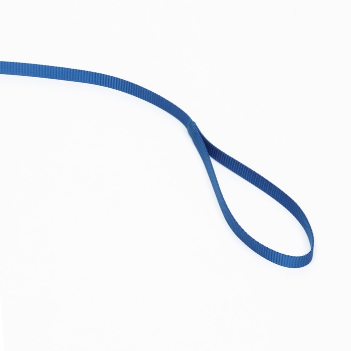 Поводок 120 х 1 см, полиэстер, синий Поводок 120 х 1 см, полиэстер, синий