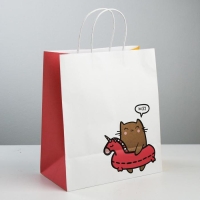 Пакет подарочный крафтовый, упаковка, «Котик», 28 х 32 х 15 см Пакет подарочный крафтовый, упаковка, «Котик», 28 х 32 х 15 см