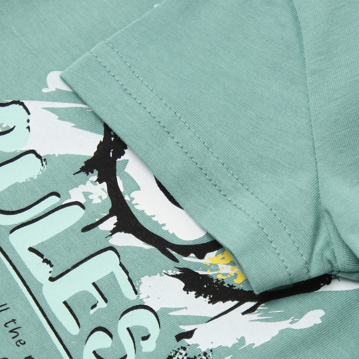 Футболка для мальчика, цвет шалфей, рост 92 см Футболка для мальчика, цвет шалфей, рост 92 см