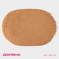 Коврик для дома Доляна «Пушистик», 40×60 см, цвет МИКС Коврик для дома Доляна «Пушистик», 40×60 см, цвет МИКС