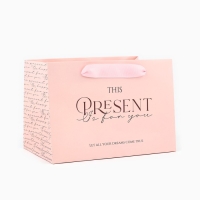 Пакет подарочный с широким дном, упаковка, &laquo;Present&raquo;, 20 х 14 х 13,2 см