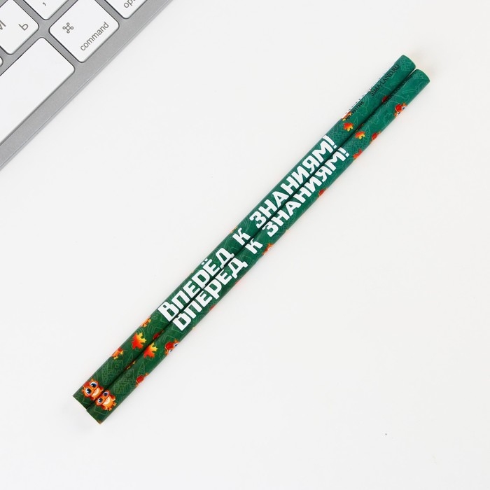 Подарочный набор на выпускной &laquo;Больших успехов на пути&raquo; блокнот,ластик, 2 карандаша HB, значок, линейка