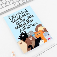 Ежедневник А5, 80 л. Тонкая обложка &laquo;Много котов&raquo;