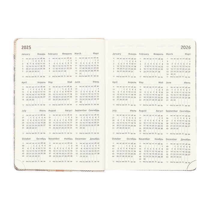 Ежедневник датированный 2025 года A5 168 листов, deVENTE. Expert, интегральная обложка кожзам, карман, перфорация, ляссе, кремовый блок 70 г/м2, серый