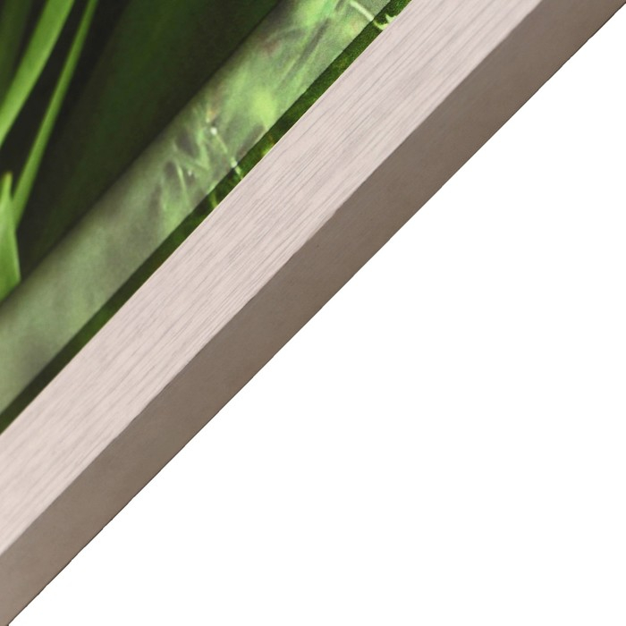 Картина "Белые тюльпаны" 42х107 см рамка микс