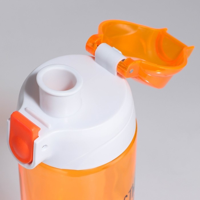 Бутылка для воды «Пушистый», 600 мл Бутылка для воды «Пушистый», 600 мл