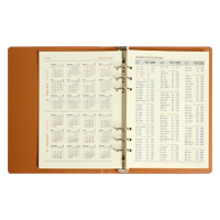 Органайзер на кольцах "Престиж" А5, 92 листа в линейку, обложка кожзам, МИКС Органайзер на кольцах "Престиж" А5, 92 листа в линейку, обложка кожзам, МИКС