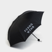 Зонт женский механический &laquo;FCKNG WTHR&raquo;, 8 спиц, d=95, цвет чёрный