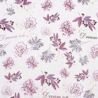 Бумага упаковочная, глянцевая  "Dream on", 70 х 100 см, 1 лист