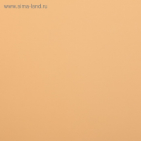 Пленка матовая для цветов двухсторонняя "Зефир", персиково-бежевый, 0,6 х 10 м Пленка матовая для цветов двухсторонняя "Зефир", персиково-бежевый, 0,6 х 10 м