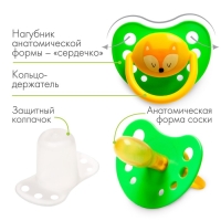 Соска - пустышка латексная анатомическая &laquo;Милые зверята&raquo;, от 0 мес., с колпачком, цвет МИКС