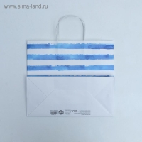 Пакет подарочный крафтовый, упаковка, &laquo;Якорь&raquo;, 32 х 28 х 15 см