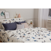 Постельное бельё &laquo;Этель&raquo; дуэт Легкость 143*215 см - 2 шт, 240*220 см, 70*70 см -2 шт