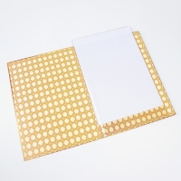 Папка с двумя файлами А4 "Диплом выпускника" сирень, книга на темно-синем фоне Папка с двумя файлами А4 "Диплом выпускника" сирень, книга на темно-синем фоне