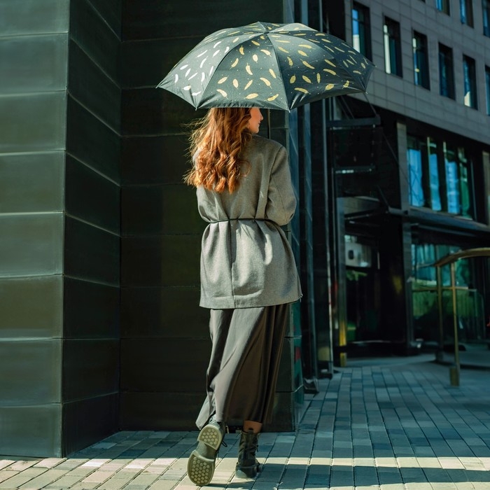 Зонт женский механический &laquo;Золотые перья&raquo;, 8 спиц, d=95, цвет чёрный