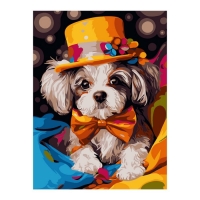 Картина по номерам &laquo;Фокусник&raquo;, на картоне, 28,5 &times; 38 см