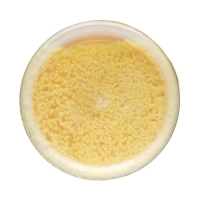 Биологический отпугиватель от муравьев Биогрядка, туба, 250 г Биологический отпугиватель от муравьев Биогрядка, туба, 250 г