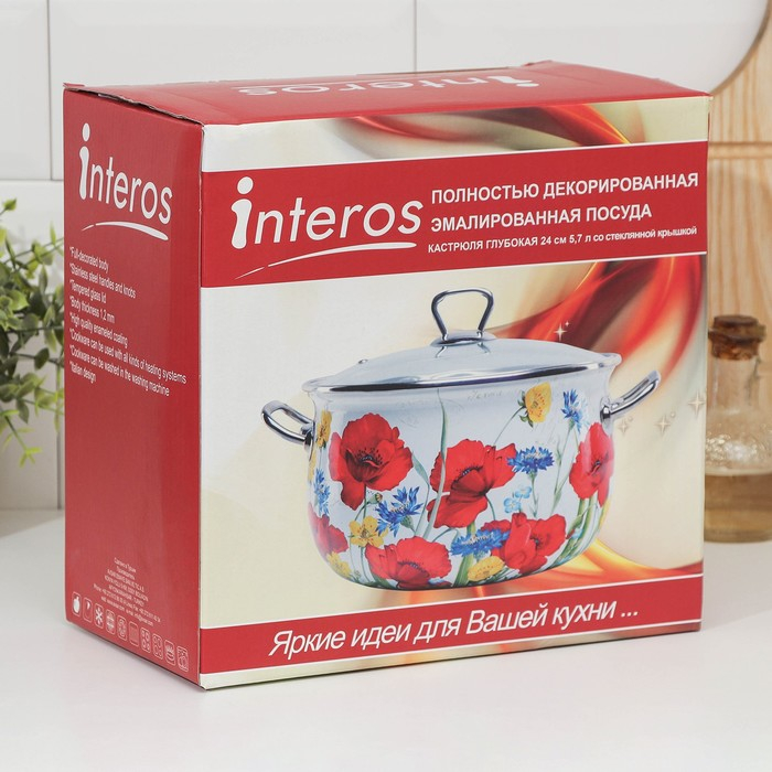 Кастрюля эмалированная «Пион», 5.7 л, стеклянная крышка, индукция Кастрюля эмалированная «Пион», 5.7 л, стеклянная крышка, индукция