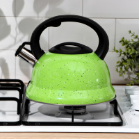 Чайник со свистком из нержавеющей стали Доляна &laquo;Рио&raquo;, 2,8 л, фиксированная ручка, цвет зелёный