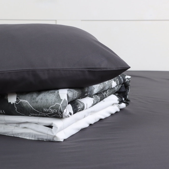 Постельное бельё Постельное бельё "Этель" 2 сп Geography 175*215 см, 200*220 см, 50*70 см -2 шт, поплин 125 г/м2, хл 100%