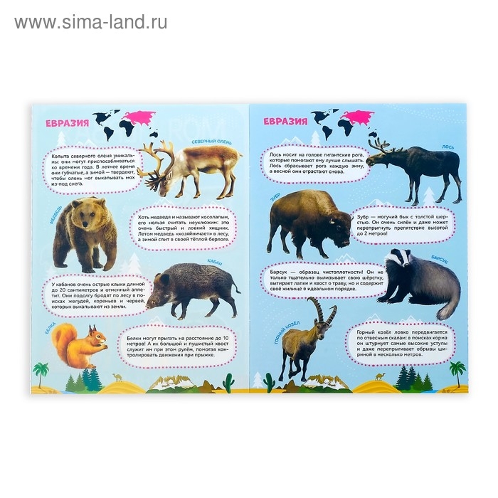 Наклейки &laquo;Мои первые энциклопедии&raquo;, набор 4 шт. по 8 стр., формат А4