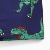 Купальник детский KAFTAN "Динозавр", рост 110-116 (32)