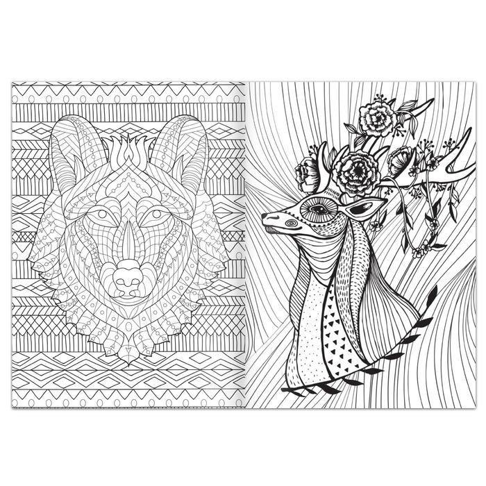 Раскраска &laquo;Антистресс&raquo;, 68 стр., формат А4