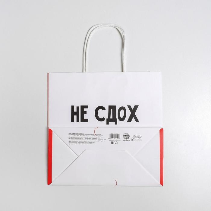 Упаковка, пакет подарочный, &laquo;И ладно&raquo;, 22 х 22 х 11 см