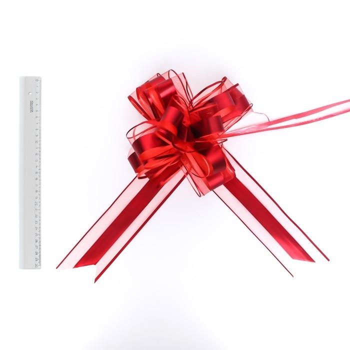 Бант-шар №6.5