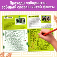 Книга «Лабиринты и факты. По лианам в джунгли», 24 стр. Книга «Лабиринты и факты. По лианам в джунгли», 24 стр.