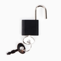 Записная книжка на замочке А6, 50 листов &laquo;Динозавр: Danger&raquo;