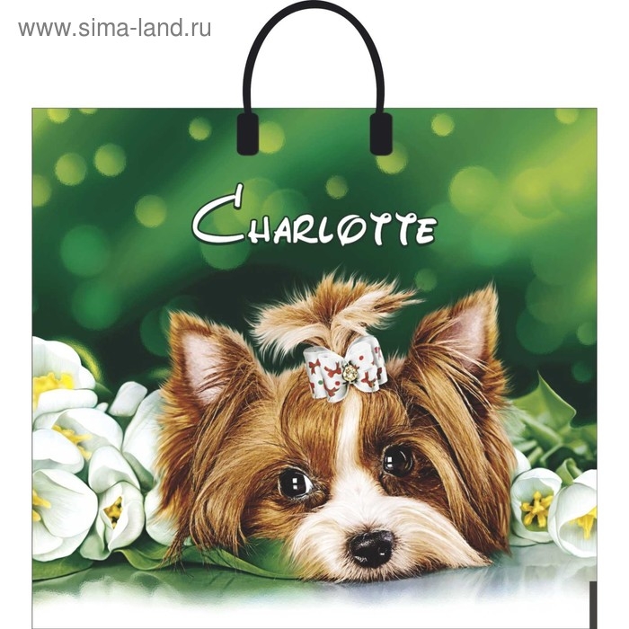 Пакет Пакет "Шарлотта", полиэтиленовый с пластиковой ручкой, 38 х 35 см, 90 мкм