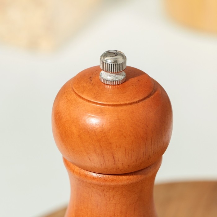 Набор для специй Доляна &laquo;Дуэт&raquo;, 16,5 см, 2 мельницы, акация