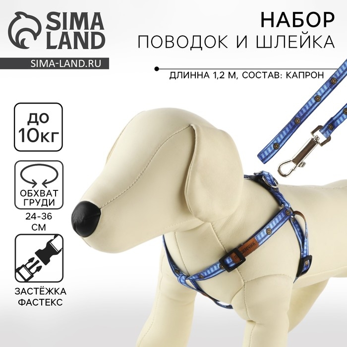 Комплект &laquo;Любимчик&raquo;, шлейка 24-36 см, поводок 120х1 см