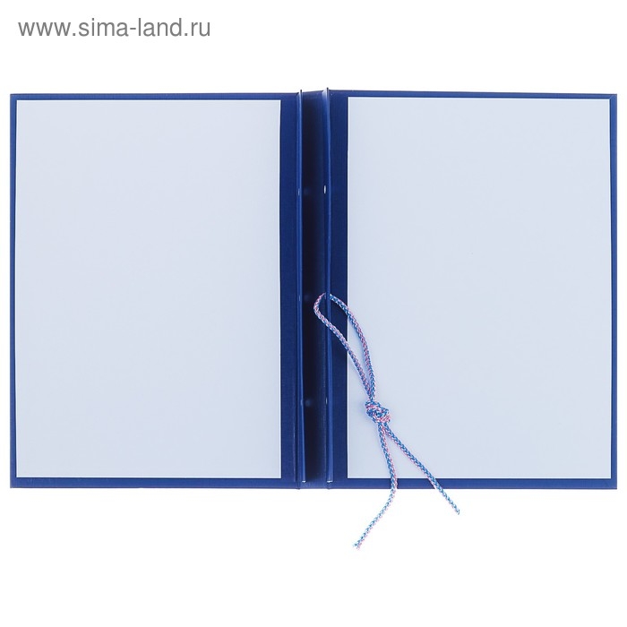 Папка Папка "Выпускная квалификационная работа" бумвинил, гребешки/сутаж, без бумаги, синяя (вместимость до 300 листов)