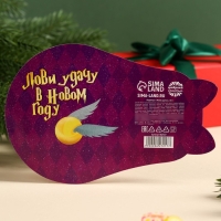 Новый год! Леденцы &laquo;Новый год: Лови удачу&raquo;, 30 г.