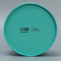 Коробка подарочная, упаковка, «Мята», 13 х 9 см Коробка подарочная, упаковка, «Мята», 13 х 9 см