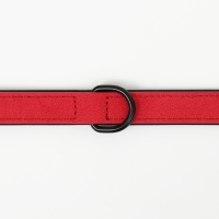 Ошейник с выносным кольцом "Мона", 42 х 2 см, алый Ошейник с выносным кольцом "Мона", 42 х 2 см, алый