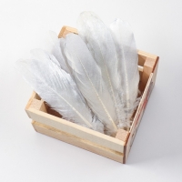 Перья для декора, серебро полная окраска , 13-15 см 10 шт Перья для декора, серебро полная окраска , 13-15 см 10 шт