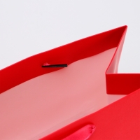 Пакет ламинированный &laquo;Фуксия&raquo;, MS 23 &times; 18 &times; 10 см