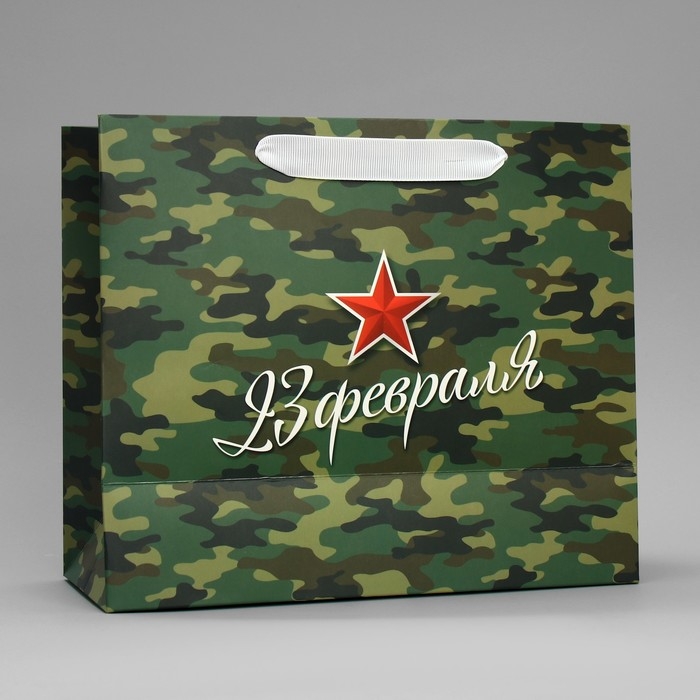 Пакет подарочный ламинированный горизонтальный, упаковка, &laquo;Звезда&raquo;, ML 27 х 23 х 11.5 см